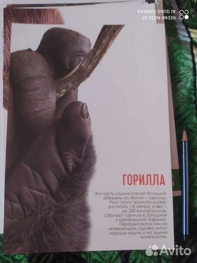 Пособия для развития детей