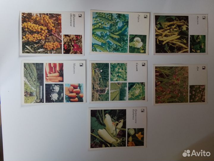 Открытки СССР чистые