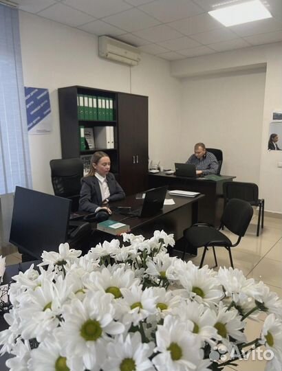 Франшиза по банкротству