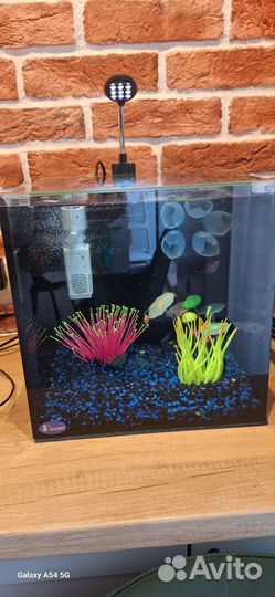 Аквариум с рыбками