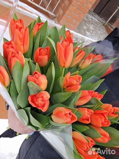 В наличии тюльпаны на 8 марта