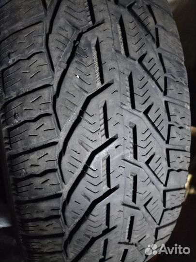 Tigar Winter 205/6 R16