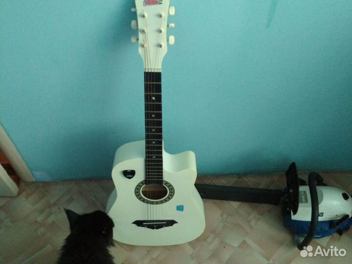 Акустическая гитара