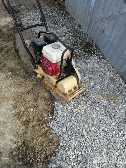 Аренда прокат Виброплиты