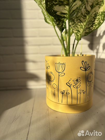 Аглаонема Айвори Джейд в керамическом горшке