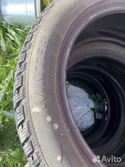 Tigar Winter 205/55 R17 95V