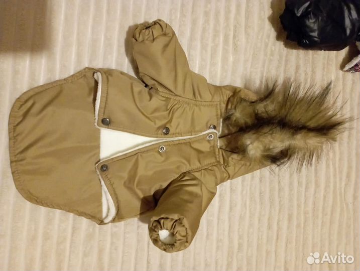 Одежда для собак