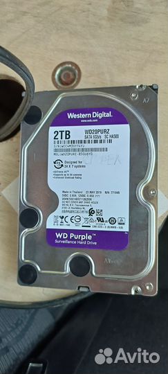 Wd purple 2 tb сгорел