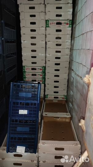 Пластиковые корзинки, ящики