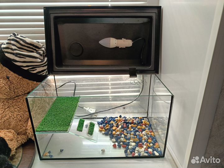 Аквариум для черепахи