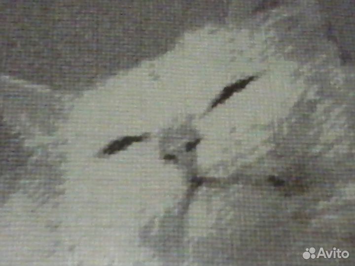 Картина ручная вышивка