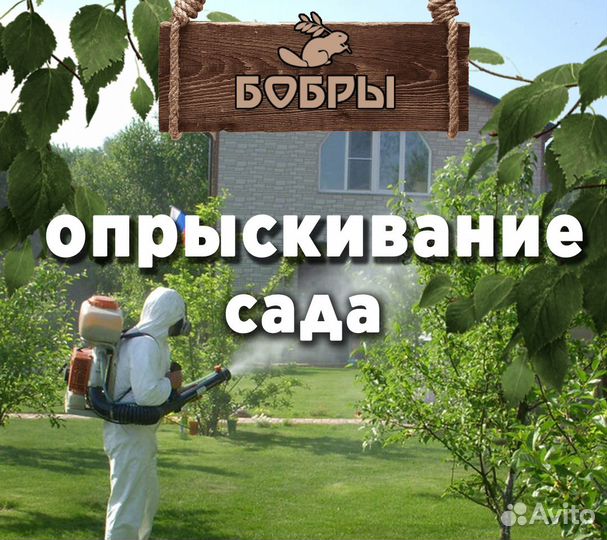 Опрыскивание сада, плодовых и хвойных культур