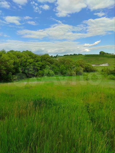 Участок 43 сот. (СНТ, ДНП)