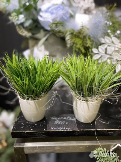 Чудесная эко зелень