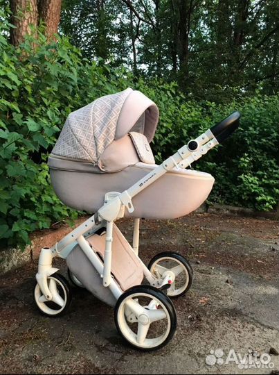 Коляска Adamex luciano 2 в 1