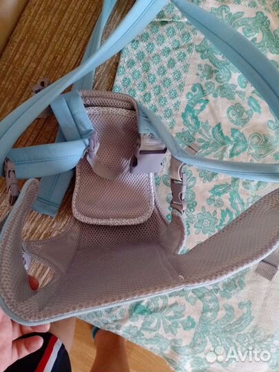 Кенгуру хипсит