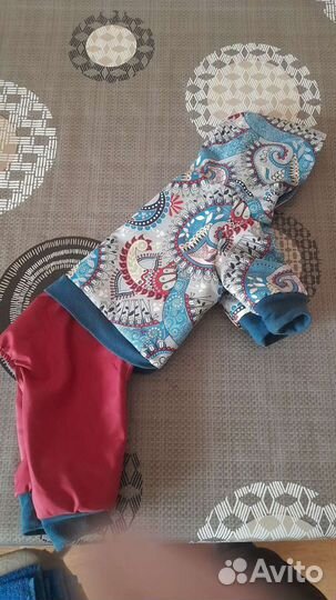 Комбинезон для собаки