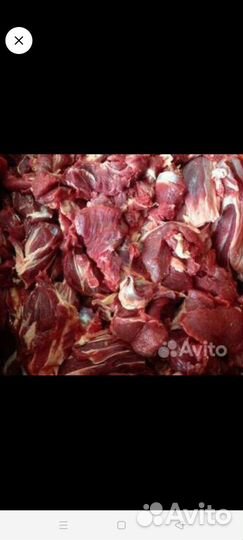 Мясо говядина котлетное