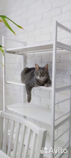 Полки стеллажи металлические