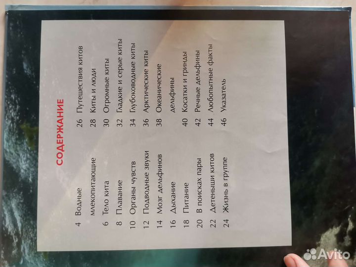 Детские энциклопедии