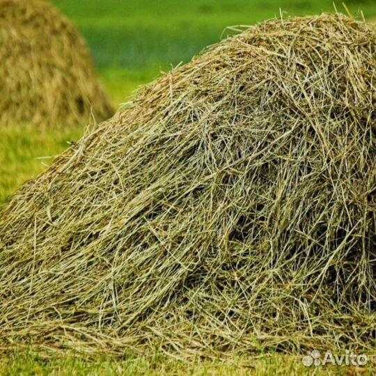 Сено