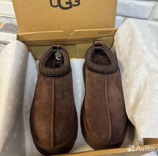 Ugg Tazz Platform Chocolate оригинал