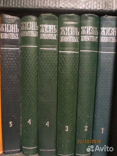 Жизнь животных в 6 томах