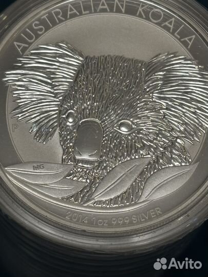 Серебряные монеты Коала 2014 г.(15 шт)