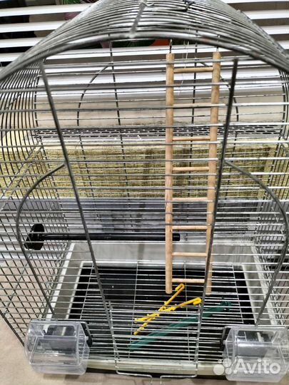 Клетка для волнистого попугая бу