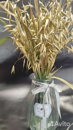 Сухоцветы колоски подсолнухи