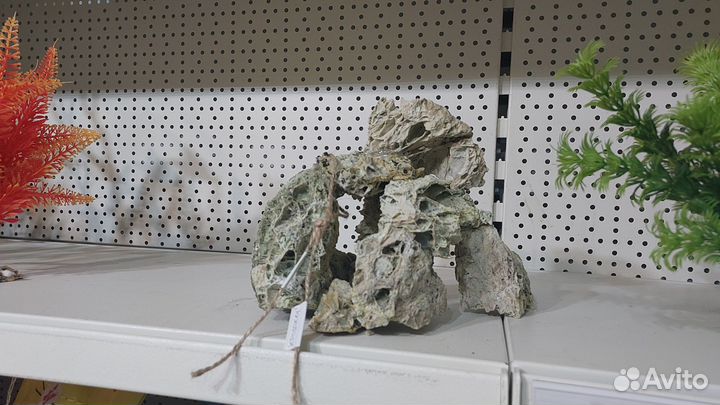 Растения для аквариума, аквариумный декор