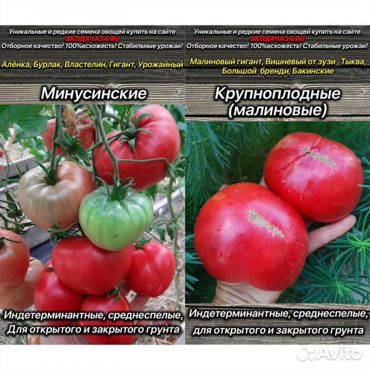 Помидоры и перцы семена