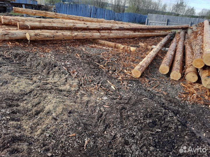 Срубы, сруб, зимний лес