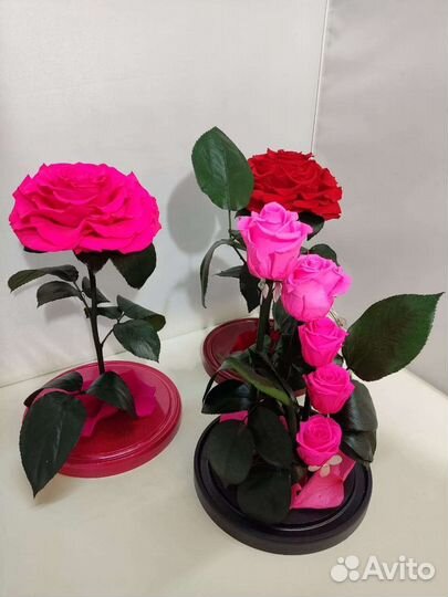 Роза в колбе оптом