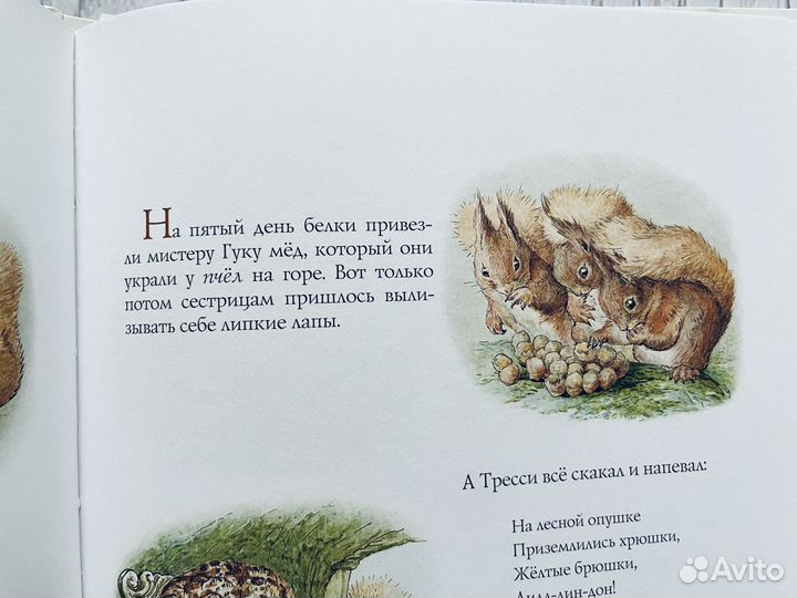 Бельчонок Тресси и его друзья