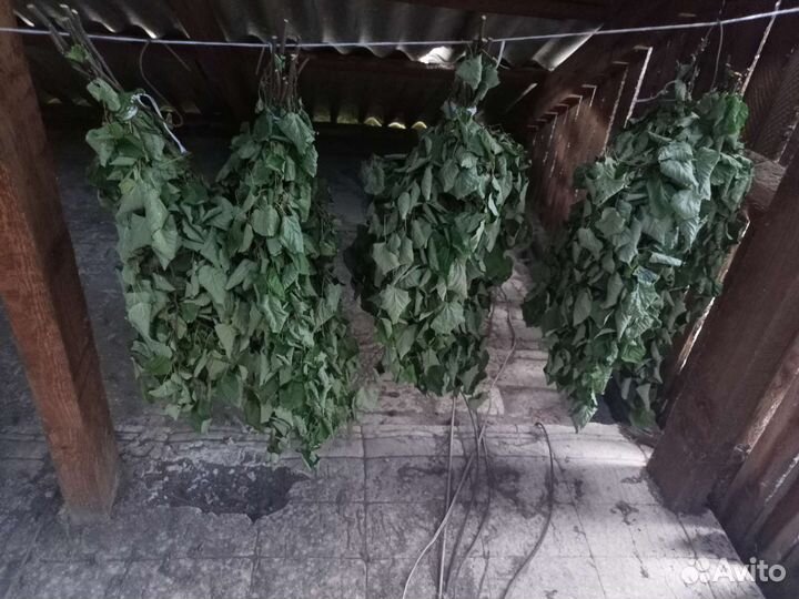 Веники для бани