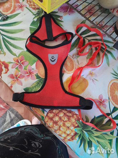 Шлейка для собак и кошек