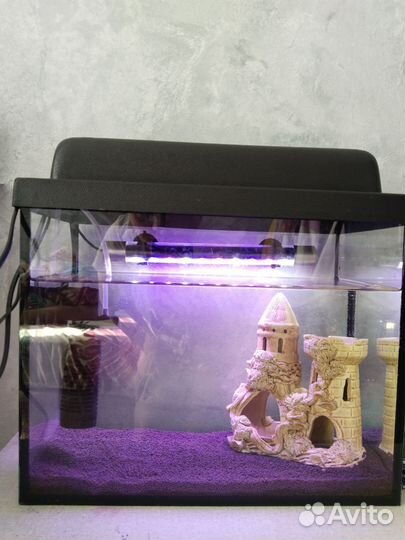 Аквариум