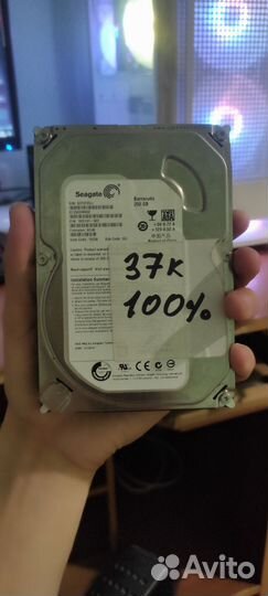 Жесткий диск 250 гб