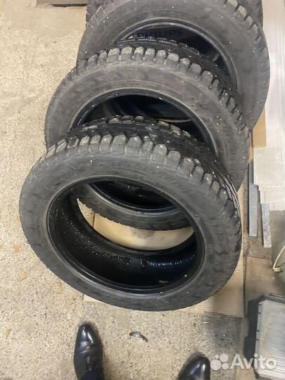 Cordiant Polar 2 205/55 R16