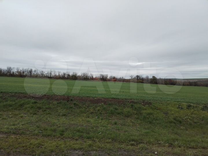 Участок 13 га (СНТ, ДНП)