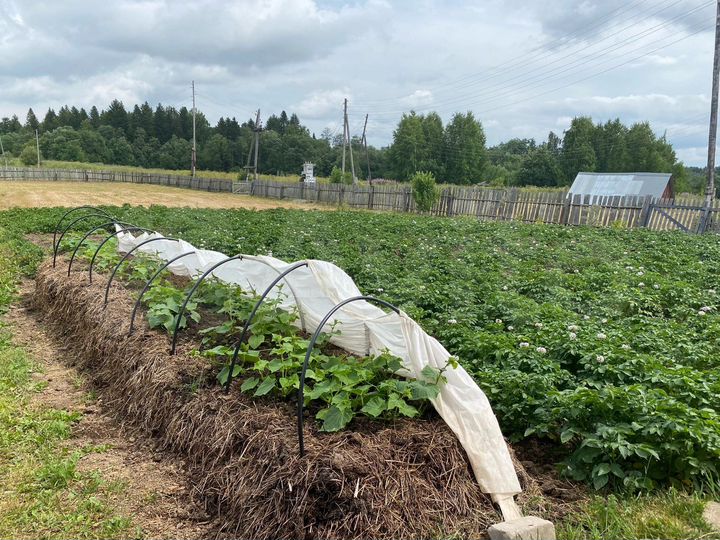 Дача 13,7 м² на участке 35 сот.