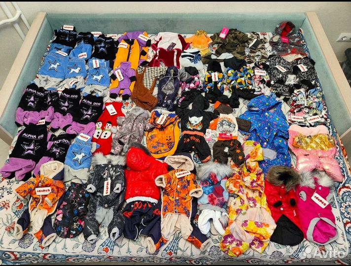 Одежда для собак