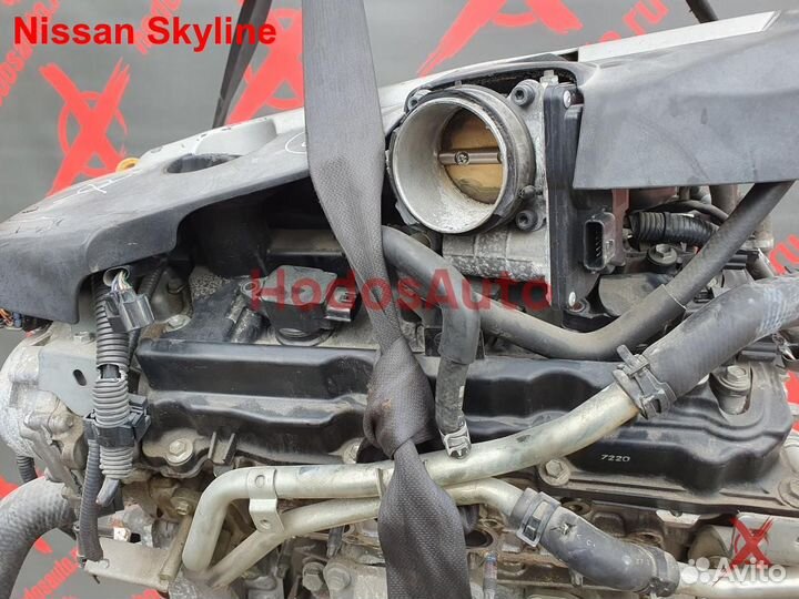 Двигатель VQ35HR Nissan Skyline