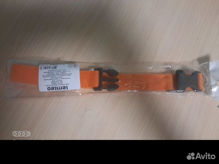 Светящиеся ошейники