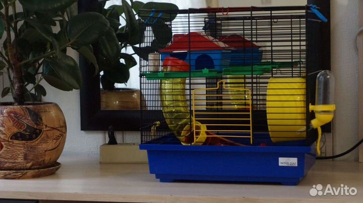 Клетка для хомяка