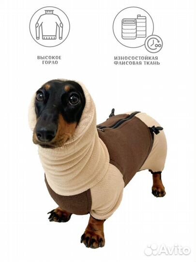 Одежда для таксы