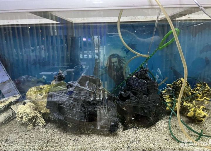 Аквариум под террариум, 500 л + тумба