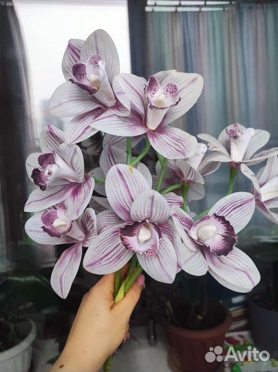 Искусственные цветы орхидеи