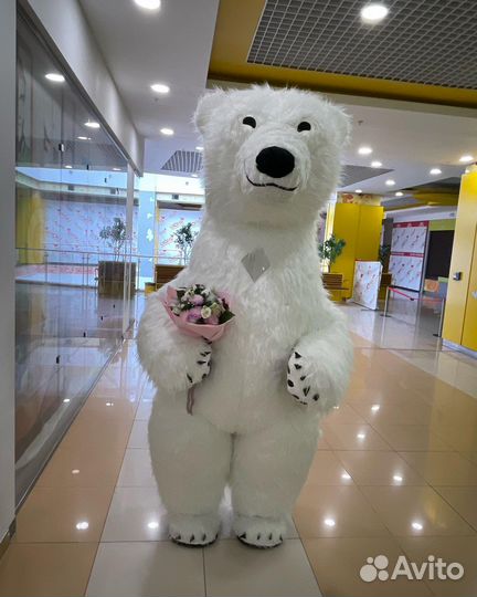 Поздравление от Мишки Тедди